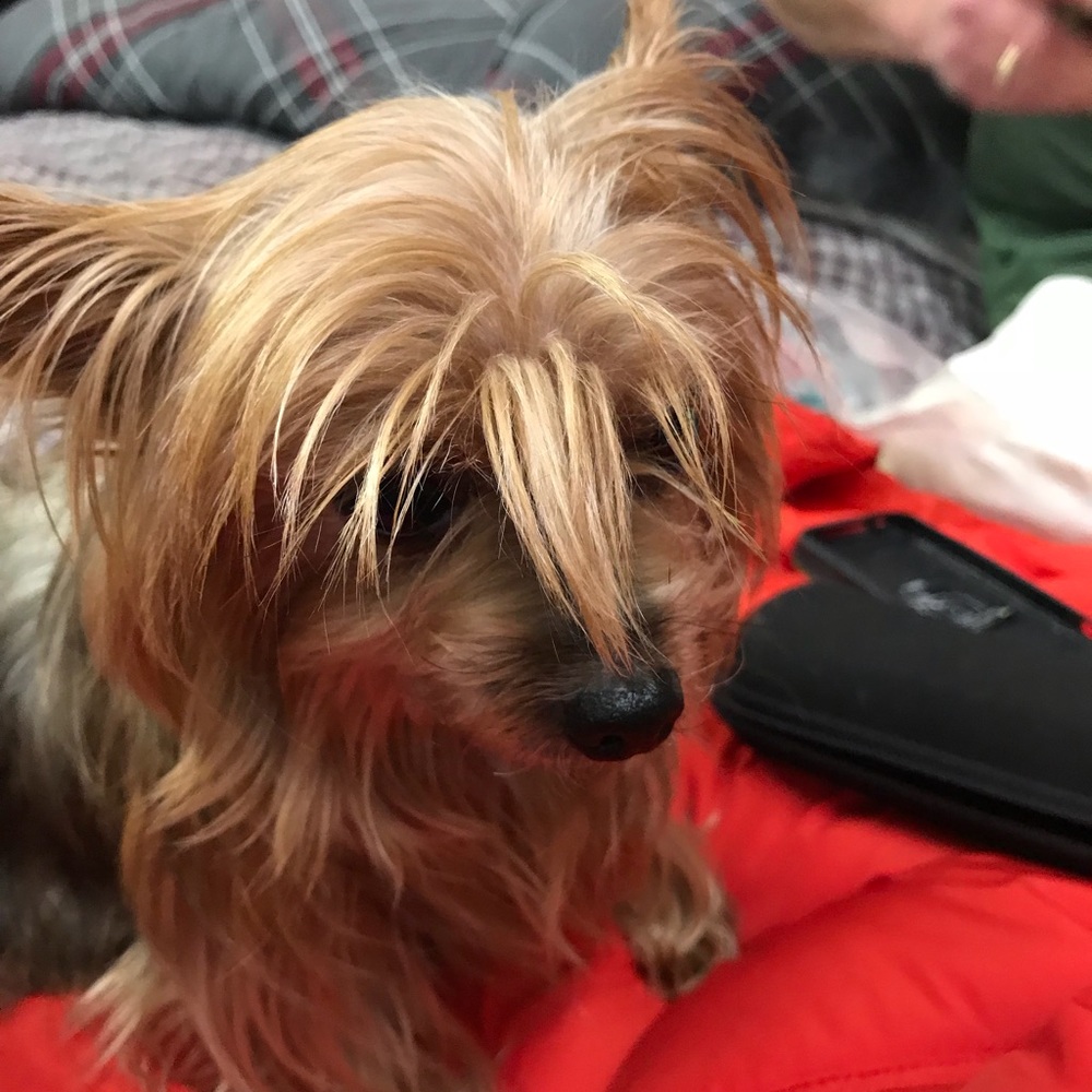 Meet your Posher, Lisa